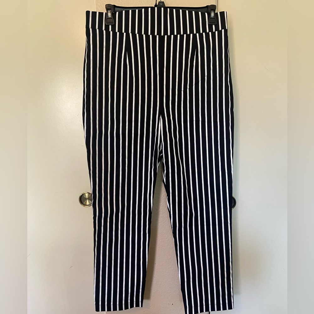 PUG pants